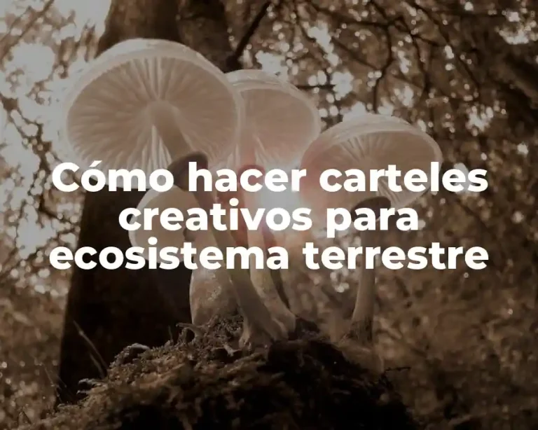 Cómo hacer carteles creativos para ecosistema terrestre