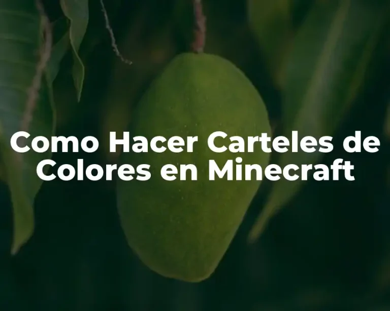 Como Hacer Carteles de Colores en Minecraft