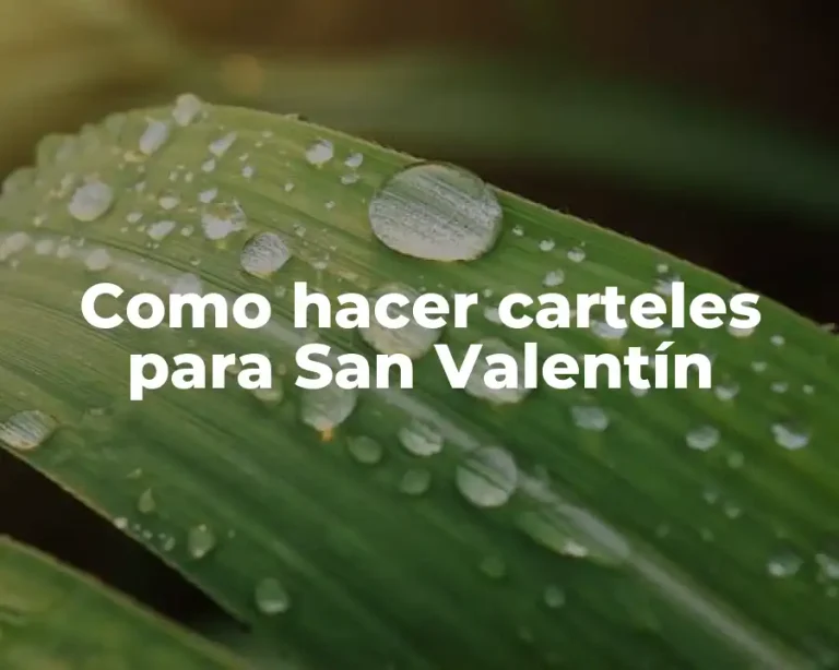 Como hacer carteles para San Valentín