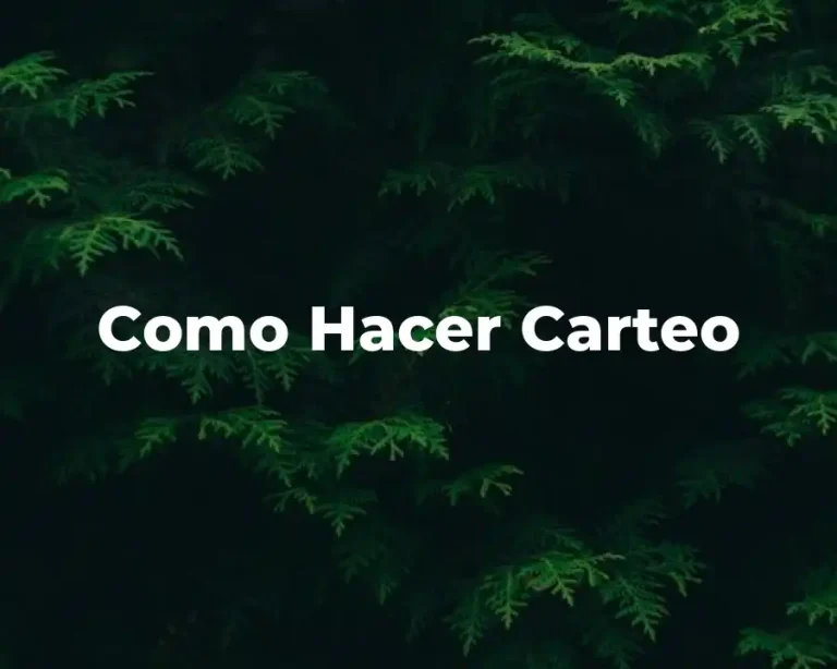 Como Hacer Carteo