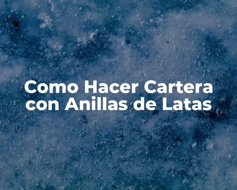 Como Hacer Cartera con Anillas de Latas