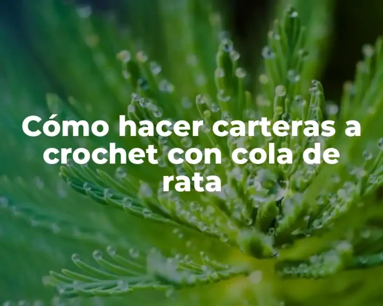 Cómo hacer carteras a crochet con cola de rata