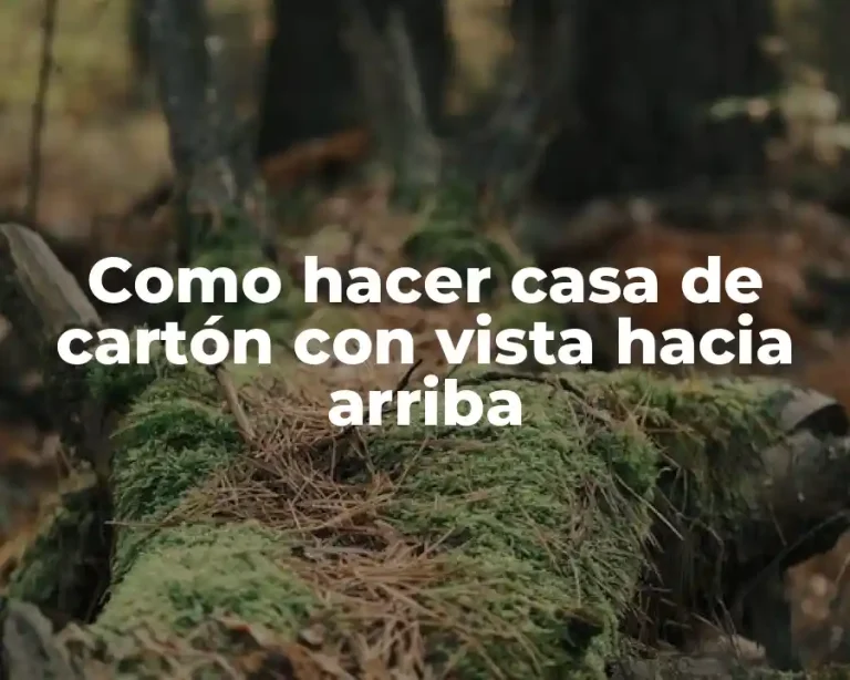 Como hacer casa de cartón con vista hacia arriba