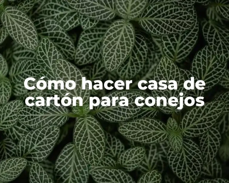 Cómo hacer casa de cartón para conejos