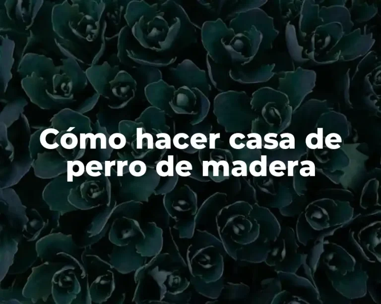 Cómo hacer casa de perro de madera