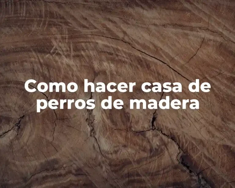 Como hacer casa de perros de madera