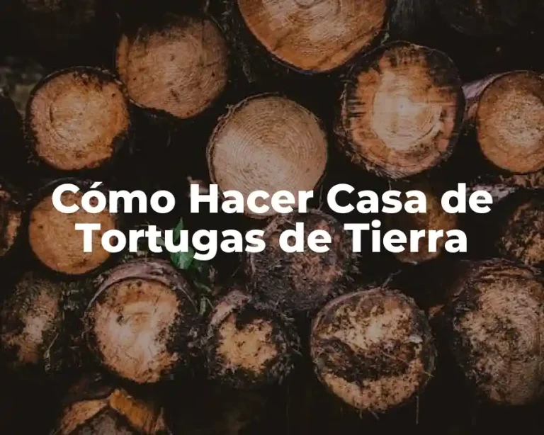 Cómo Hacer Casa de Tortugas de Tierra