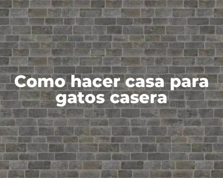 Como hacer casa para gatos casera