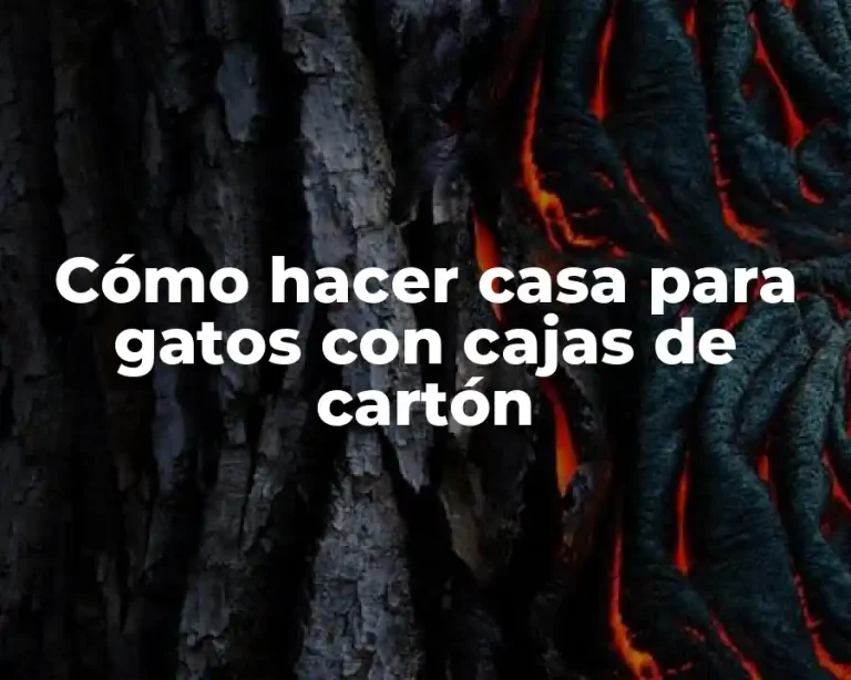Cómo hacer casa para gatos con cajas de cartón