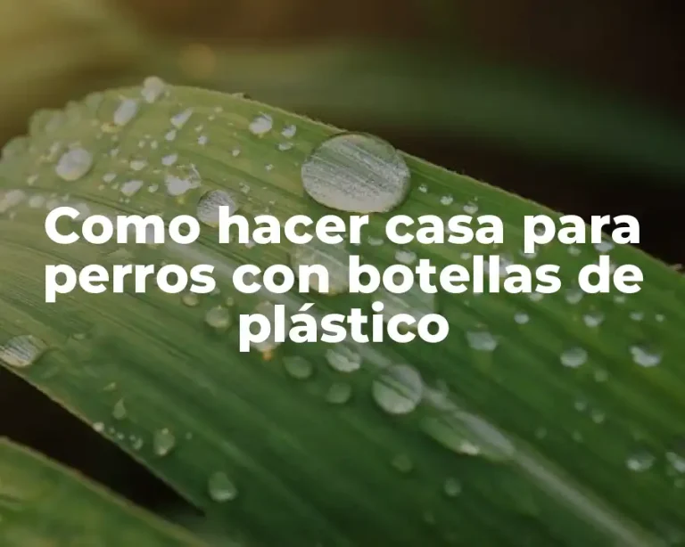 Como hacer casa para perros con botellas de plástico