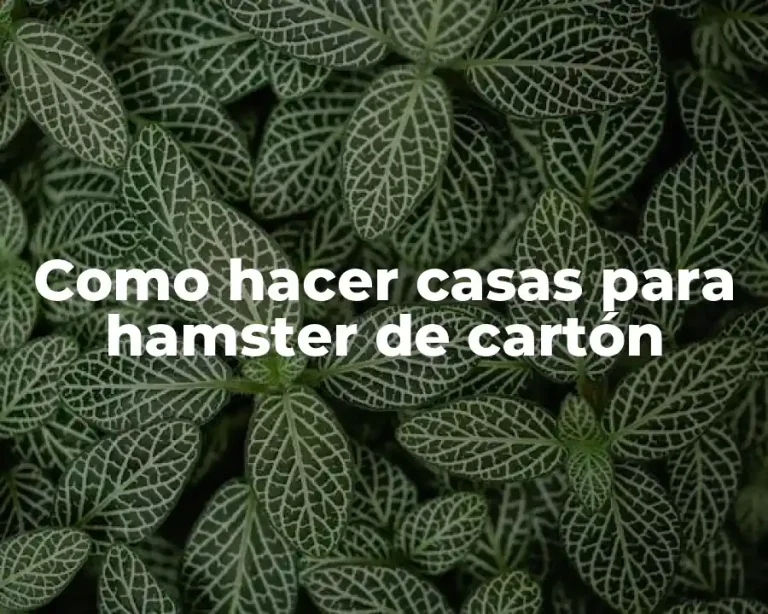 Como hacer casas para hamster de cartón
