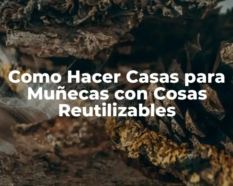 Como Hacer Casas para Muñecas con Cosas Reutilizables