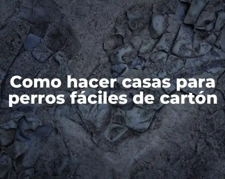 Como hacer casas para perros fáciles de cartón