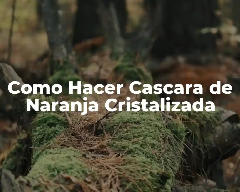 Como Hacer Cascara de Naranja Cristalizada