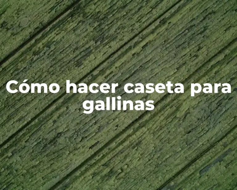 Cómo hacer caseta para gallinas