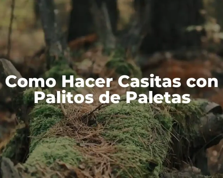 Como Hacer Casitas con Palitos de Paletas