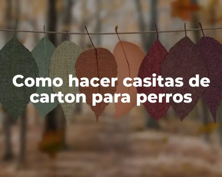 Como hacer casitas de carton para perros