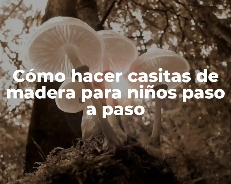 Cómo hacer casitas de madera para niños paso a paso