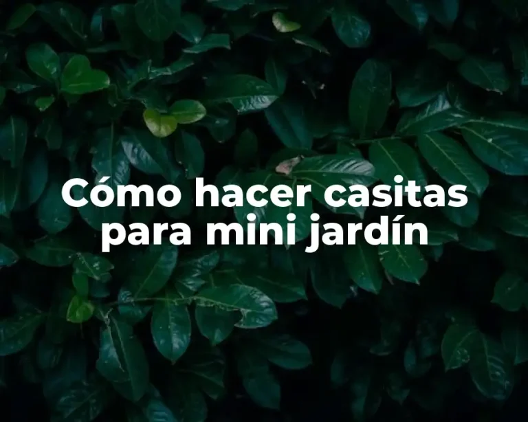 Cómo hacer casitas para mini jardín