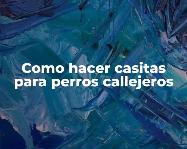 Como hacer casitas para perros callejeros