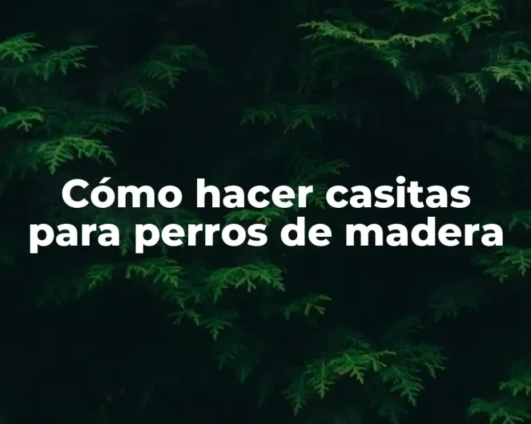 Cómo hacer casitas para perros de madera