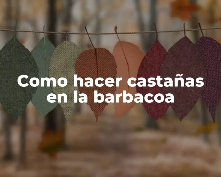 Como hacer castañas en la barbacoa