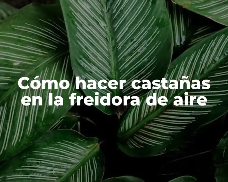 Cómo hacer castañas en la freidora de aire