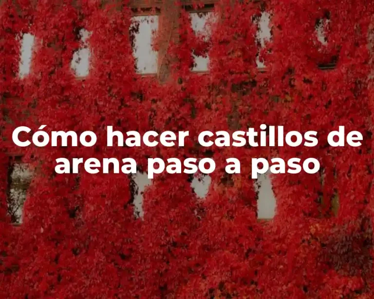 Cómo hacer castillos de arena paso a paso