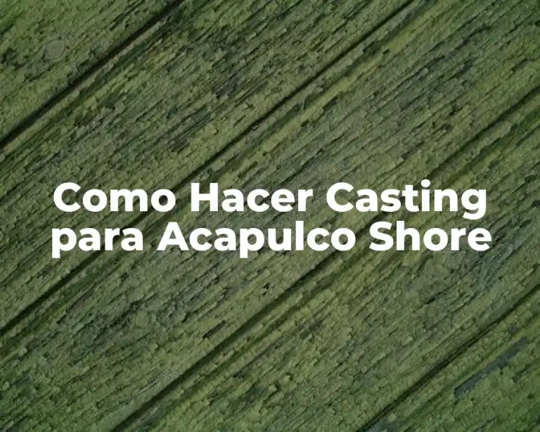 Como Hacer Casting para Acapulco Shore
