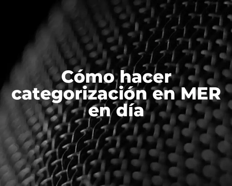 Cómo hacer categorización en MER en día