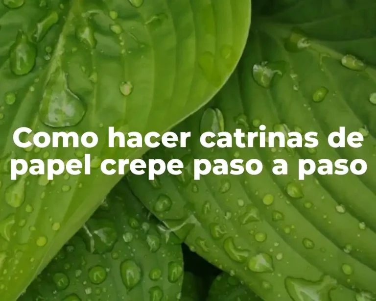 Como hacer catrinas de papel crepe paso a paso