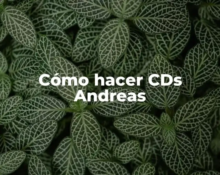 Cómo hacer CDs Andreas