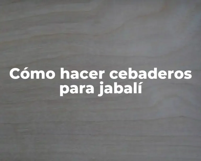 Cómo hacer cebaderos para jabalí