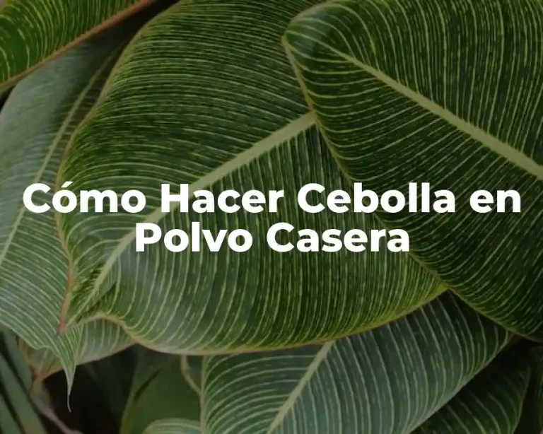 Cómo Hacer Cebolla en Polvo Casera