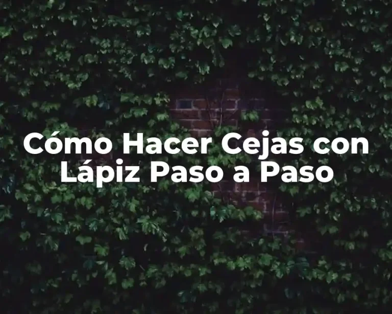 Cómo Hacer Cejas con Lápiz Paso a Paso