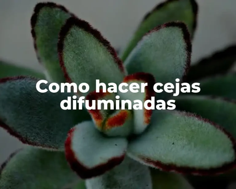 Como hacer cejas difuminadas