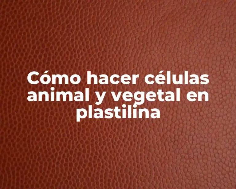 Cómo hacer células animal y vegetal en plastilina