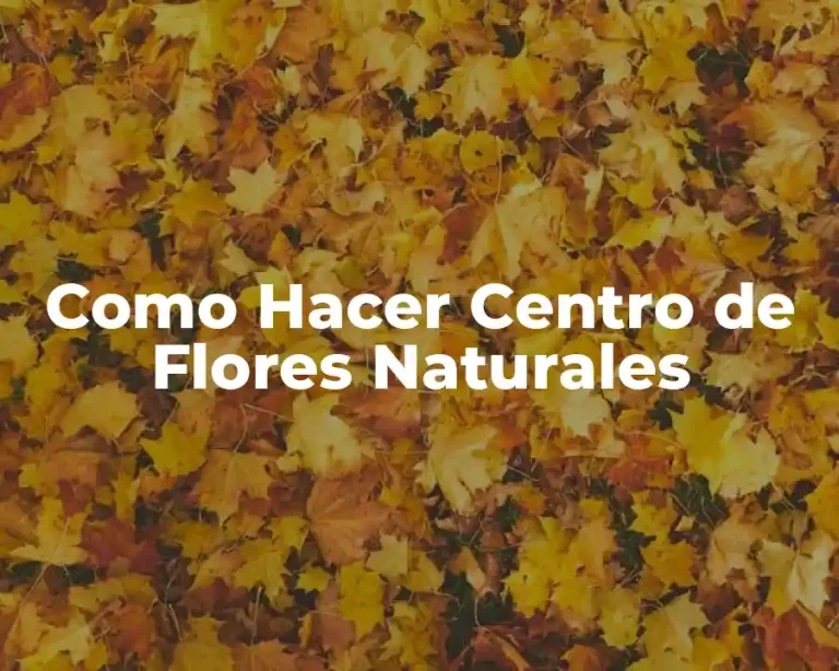 Como Hacer Centro de Flores Naturales