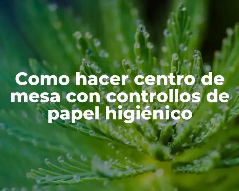Como hacer centro de mesa con controllos de papel higiénico