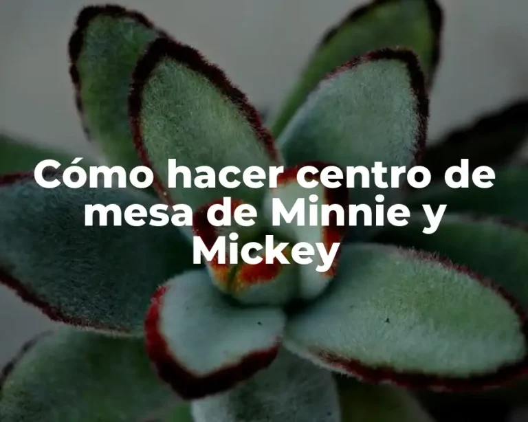 Cómo hacer centro de mesa de Minnie y Mickey