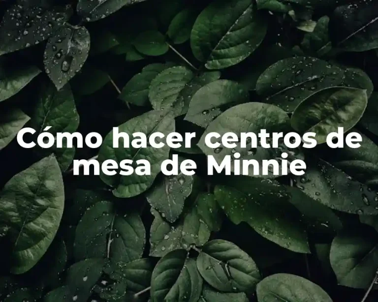 Cómo hacer centros de mesa de Minnie