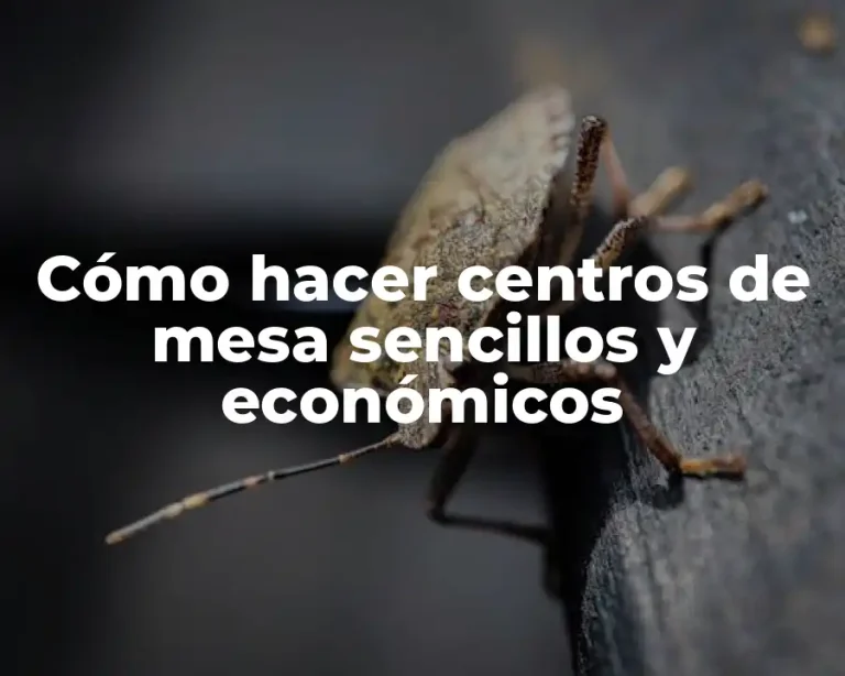 Cómo hacer centros de mesa sencillos y económicos