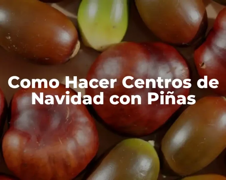 Como Hacer Centros de Navidad con Piñas