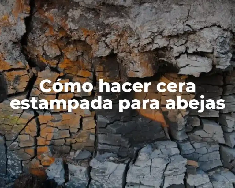 Cómo hacer cera estampada para abejas