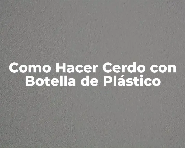 Como Hacer Cerdo con Botella de Plástico