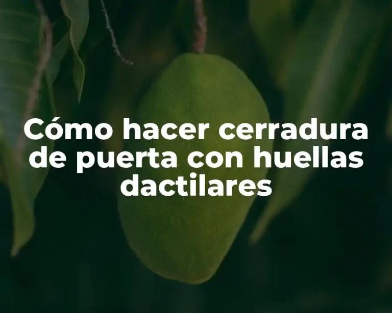 Cómo hacer cerradura de puerta con huellas dactilares