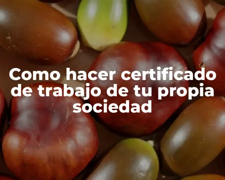 Como hacer certificado de trabajo de tu propia sociedad