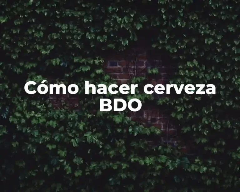 Cómo hacer cerveza BDO