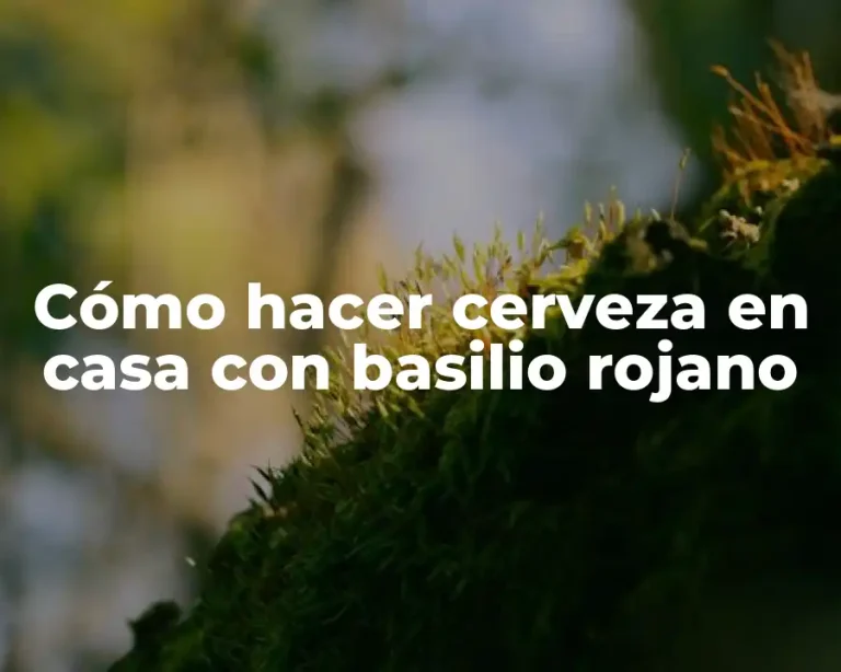 Cómo hacer cerveza en casa con basilio rojano