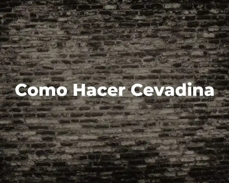 Como Hacer Cevadina